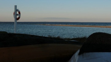 VED STRANDEN - LYSTRUP STRAND, revle.jpg